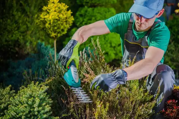 landscaping services Buena Vista